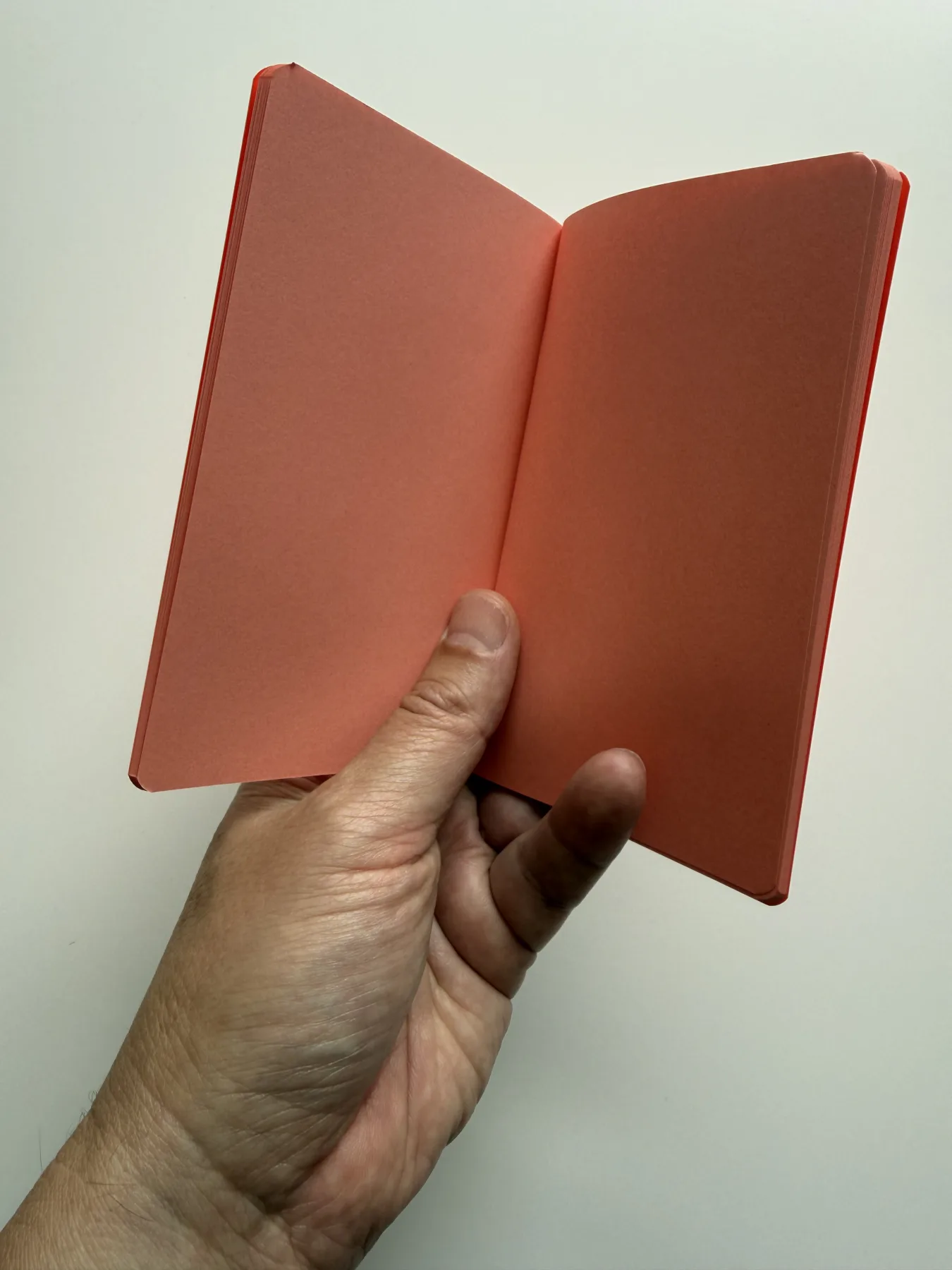 Open orange Nōto Neō notebook showing warm contrasting pages